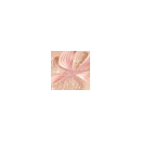 Sisley Palette L´orchidee