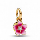 Pandora Charm colgante doble de Vaina 763845C01