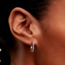 Pendientes de aro Mini Brillantes 294649C01