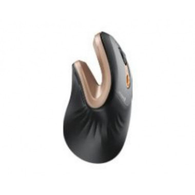 Rat&oacute;n Mini Vertical Ergon&oacute;mico ProtoArc EM11 NL Negro/Dorado (CP016806)