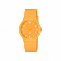 CASIO Reloj MQ-24B-9BEF