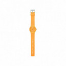 Casio Reloj MQ-24B-9BEF