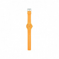 CASIO Reloj MQ-24B-9BEF
