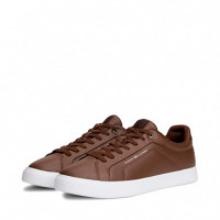 Zapatillas Icon Court Light Premium