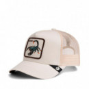 Gorra "DEADLY SCORPION TRUCKER"
