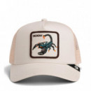 Gorra "DEADLY SCORPION TRUCKER"