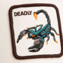 Gorra "DEADLY SCORPION TRUCKER"