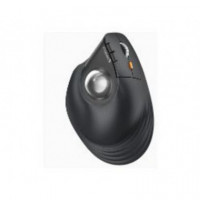 Ratón Vertical Ergonómico ProtoArc EM05 NL Trackball Wireless Gris (CP015520)