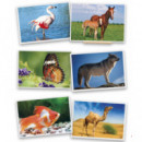 Fotografías de Animales  AKROS