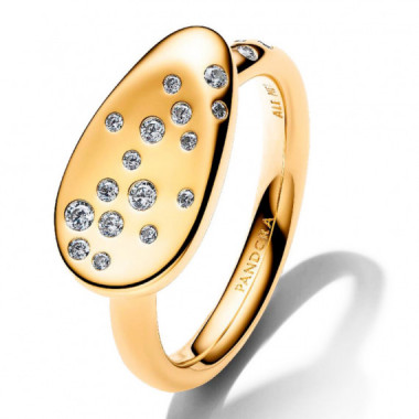 Anillo Sello &Oacute;valo Mediano con Gemas Engastadas 164707C01