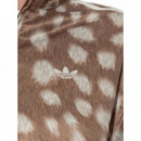 ADIDAS ORIGINALS - Aop Tt - Brndes - KT2143/BRNDES