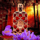 AMBER ROUGE EDP