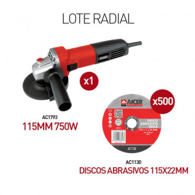 CAMPA&Ntilde;A RADIAL-DISCOS AICER PVP 399.90