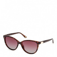 Gafas de Sol SE00173  SKECHERS