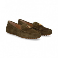 Conductor Aplique ante Kaki  LAUREN RALPH LAUREN