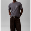 Camiseta Calvin Klein Logo back gris