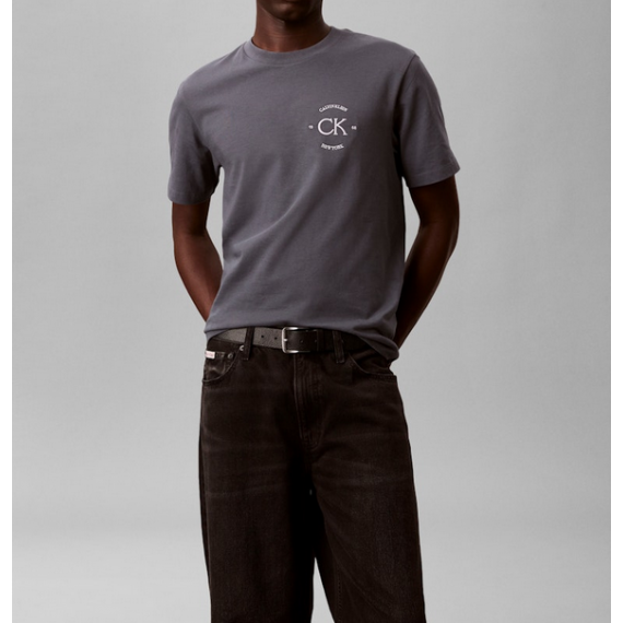 Camiseta Calvin Klein Logo back gris