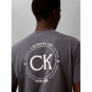 Camiseta Calvin Klein Logo back gris