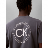 Camiseta CALVIN KLEIN Logo Back Gris