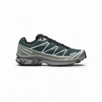 Calzado Zapatillas SALOMON XT-6 Bistro Green / Greenm / Black