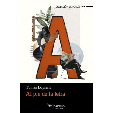 AL PIE DE LA LETRA