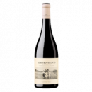Remordimiento Tinto 2025 - 75CL  BODEGA CERRÓN