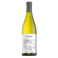 VALDESIL Godello sobre Lías 2025 - 75CL