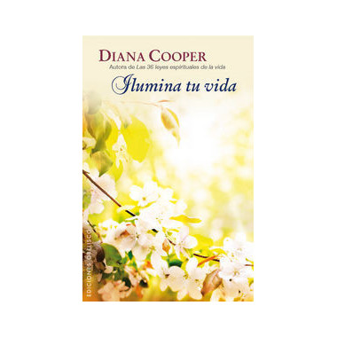 Ilumina tu vida