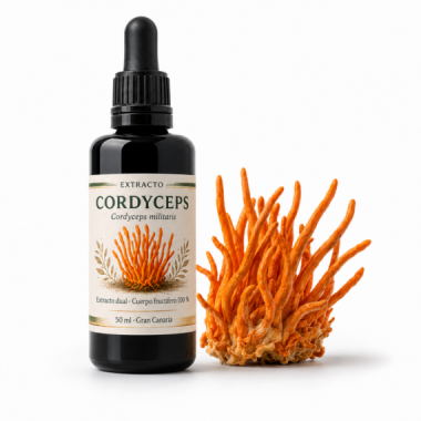 Extracto de Cordyceps (Cordyceps militaris) - COFFEE FUNGI