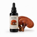Extracto de Reishi (Ganoderma lucidum) - COFFEE FUNGI