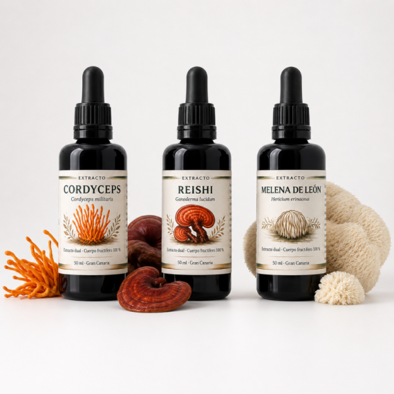 Pack Pack 3 Extractos Funcionales: Reishi, Melena de León y Cordyceps — COFFEE FUNGI