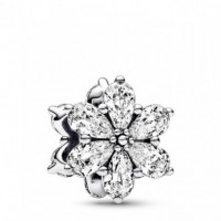 PANDORA Charm Herbario Brillante 792623C01