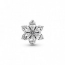 PANDORA Charm Herbario Brillante 792623C01