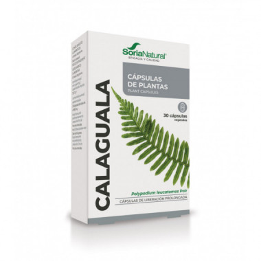 SORIA NATURAL Calaguala 30 Capsulas