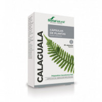 SORIA NATURAL Calaguala 30 Capsulas