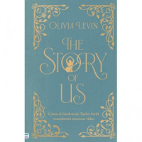 THE STORY OF US