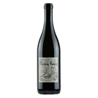 DIDIER DAGUENEAU Buisson Renard 2023 - 75CL