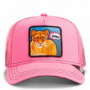 GORRA POPART-QUEEN LION