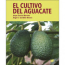 el Cultivo del Aguacate