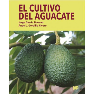 El cultivo del aguacate