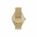 RELOJ TOMMY LEXI DORADO