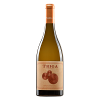 Triga Chardonnay 2024 - 75CL  BODEGAS VOLVER