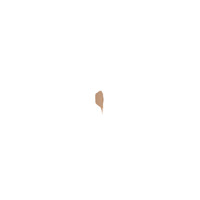 SISLEY Solaire Super Stick Teinté Spf 50