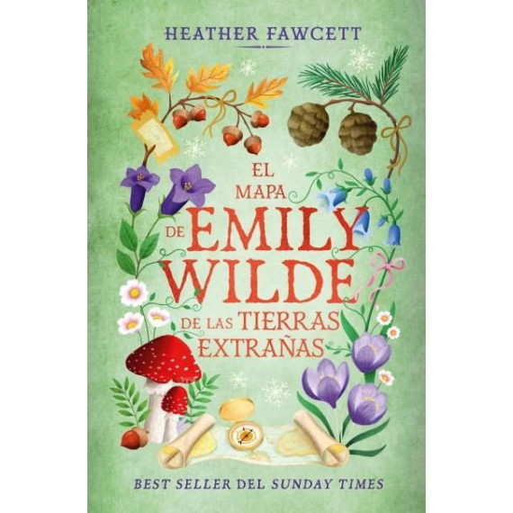 EL MAPA DE EMILY WILDE DE LAS TIERRAS EXTRA�AS