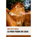 LA VIDA FUERA DE CASA