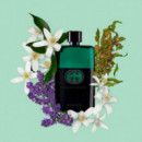 Gucci Gucci Guilty Ph Edt Essence Eau de Toilette