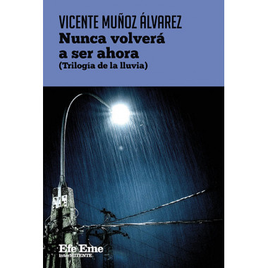 NUNCA VOLVERA A SER AHORA (TRILOGIA DE LA LLUVIA)