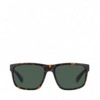 Gafas de Sol Pld 2157/S  POLAROID