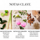 Green Tea Citron Freesia Honey Drops Body Cream
crema Corporal Hidratante  ELIZABETH ARDEN