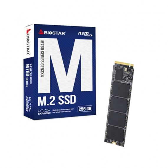 DISCO DURO SSD BIOSTAR M760 256GB NVME M.2 2280 PC